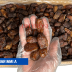 kurma MARIAMI piarom A dates harga murah cheap price kedai shop borong pemborong wholesale pembekal supplier importer kilang factory delyrose selangor malaysia