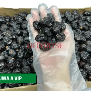 AJWA A VIP kurma nabi dates aliyah madinah harga murah cheap 1kg 5kg 10kg price kedai shop borong pemborong pengimport pembekal pengedar kilang wholesale supplier importer factory shop premium delyrose shah alam selangor malaysia singapore indonesia brunei