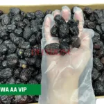 AJWA AA VIP kurma nabi dates aliyah madinah harga murah cheap 1kg 5kg 10kg price kedai shop borong pemborong pengimport pembekal pengedar kilang wholesale supplier importer factory shop premium delyrose shah alam selangor malaysia singapore indonesia brunei