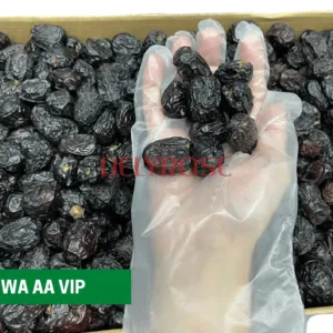 AJWA AA VIP kurma nabi dates aliyah madinah harga murah cheap 1kg 5kg 10kg price kedai shop borong pemborong pengimport pembekal pengedar kilang wholesale supplier importer factory shop premium delyrose shah alam selangor malaysia singapore indonesia brunei