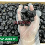 AJWA AAA LARGE VIP kurma nabi dates aliyah madinah harga murah cheap 1kg 5kg 10kg price kedai shop borong pemborong pengimport pembekal pengedar kilang wholesale supplier importer factory shop premium delyrose shah alam selangor malaysia singapore indonesia brunei