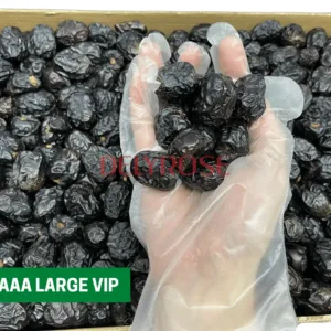 AJWA AAA LARGE VIP kurma nabi dates aliyah madinah harga murah cheap 1kg 5kg 10kg price kedai shop borong pemborong pengimport pembekal pengedar kilang wholesale supplier importer factory shop premium delyrose shah alam selangor malaysia singapore indonesia brunei