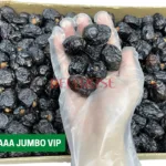 AJWA ALIYAH AAA JUMBO VIP kurma nabi dates aliyah madinah harga murah cheap 1kg 5kg 10kg price kedai shop borong pemborong pengimport pembekal pengedar kilang wholesale supplier importer factory shop premium delyrose shah alam selangor malaysia singapore indonesia brunei