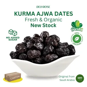 Kurma Ajwa Madinah Aliyah VIP Dates Carton 5kg 1KG 10KG A AA AAA VIP arab saudi arabia harga murah cheap price kedai shop borong pemborong pengimport pembekal pengedar wholesale supplier importer kilang factory delyrose shah alam selangor KUALA LUMPUR malaysia singapore singapura brunei indonesia