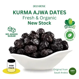 Kurma Ajwa Madinah Aliyah VIP Dates a aa aaa small medium large jumbo dates 100g 200g 250g 500g 1kg 120g 150g 300g 400g 800g harga murah cheap price kedai shop borong pemborong pengimport pembekal pengedar wholesale supplier importer kilang factory delyrose shah alam kuala lumpur selangor malaysia singapore singapura indonesia brunei