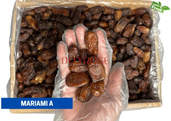 MARIAMI A piarom kurma dates iran harga murah cheap 1kg 5kg 10kg price kedai shop borong pemborong pengimport pembekal pengedar kilang wholesale supplier importer factory shop premium delyrose shah alam selangor malaysia singapore indonesia brunei