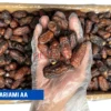 MARIAMI AA piarom kurma dates iran harga murah cheap 1kg 5kg 10kg price kedai shop borong pemborong pengimport pembekal pengedar kilang wholesale supplier importer factory shop premium delyrose shah alam selangor malaysia singapore indonesia brunei