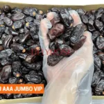 Kurma Safawi AAA VIP Dates Carton Pack 1KG 5kg 10KG JUMBO madinah harga murah cheap price kedai shop borong pemborong pengimport pembekal pengedar kilang wholesale supplier importer factory shop premium delyrose shah alam selangor malaysia singapore indonesia brunei
