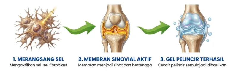 Bagaimana DejointPLUS Berfungsi