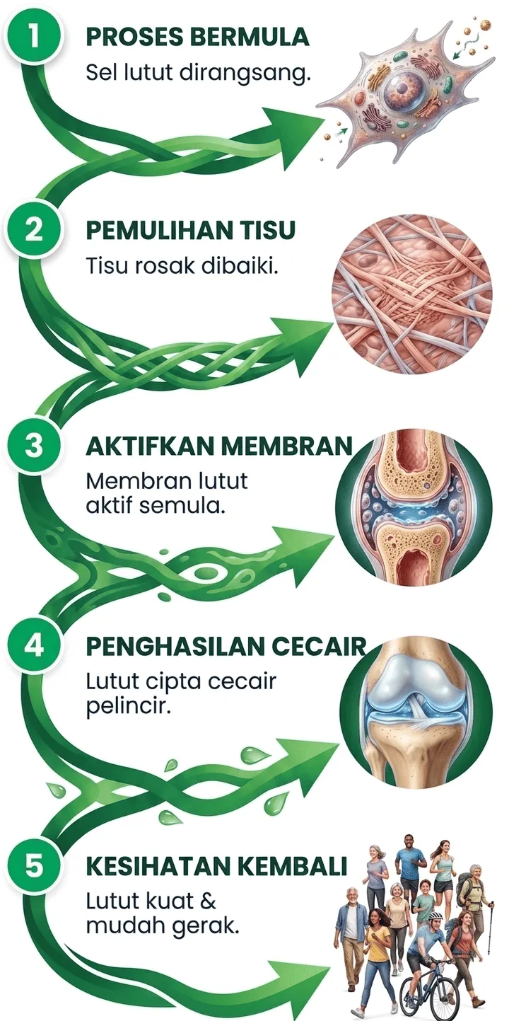 Bagaimana DejointPLUS Beraksi
