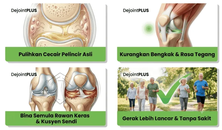 Kesan Selepas Mengamalkan DejointPLUS​